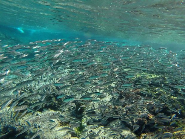 Screen Shot 2015-02-08 at 4.44.38 pm_1