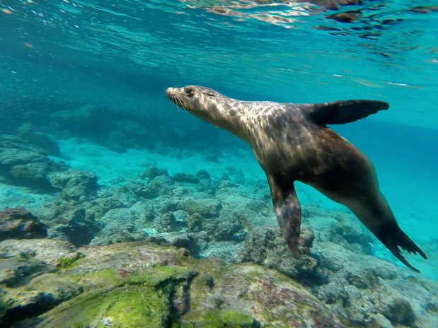 Screen Shot 2015-02-08 at 4.48.32 pm_1