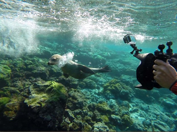 Screen Shot 2015-02-08 at 4.53.00 pm_1